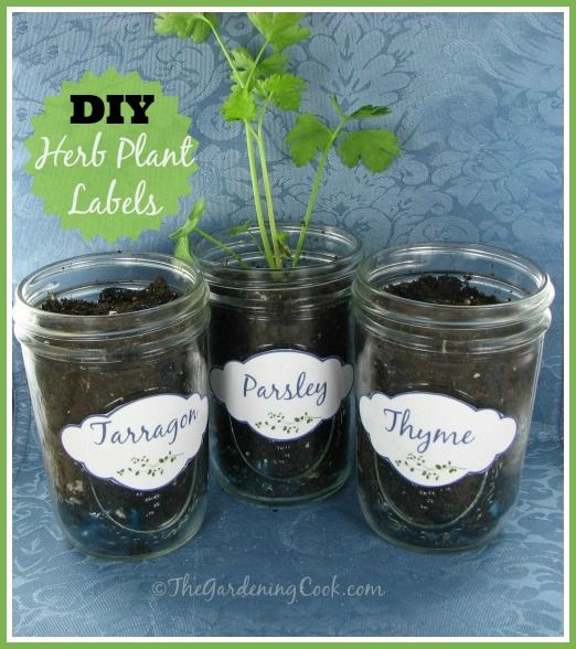 Free Herb Plant Labels for Mason Jars and Pots