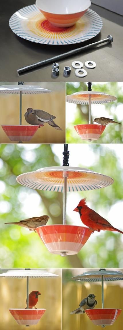 bird feeder from bowl and plate