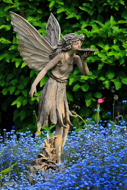 Fairy Wings