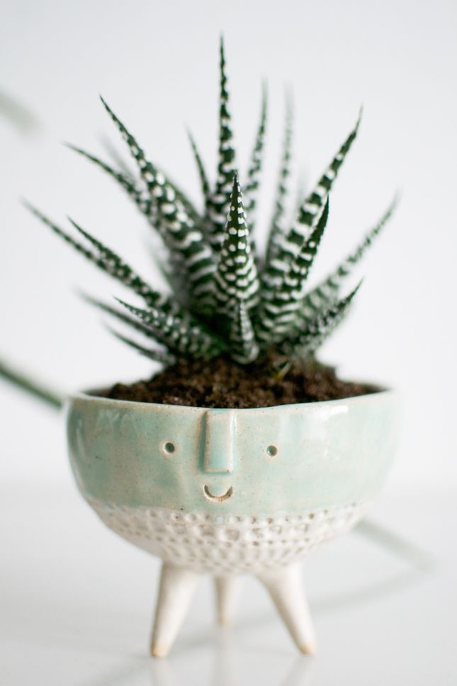 Happy plant in a handmade pot by Atelier Stella #atelierstella