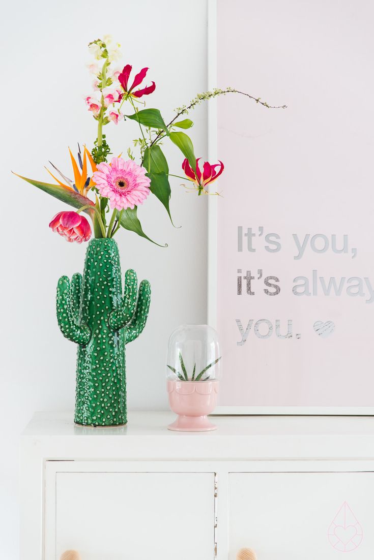 that cacti vase