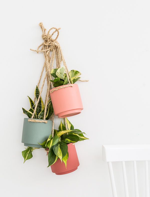 Plant One on Me: A $5 Hanging Planter Hack