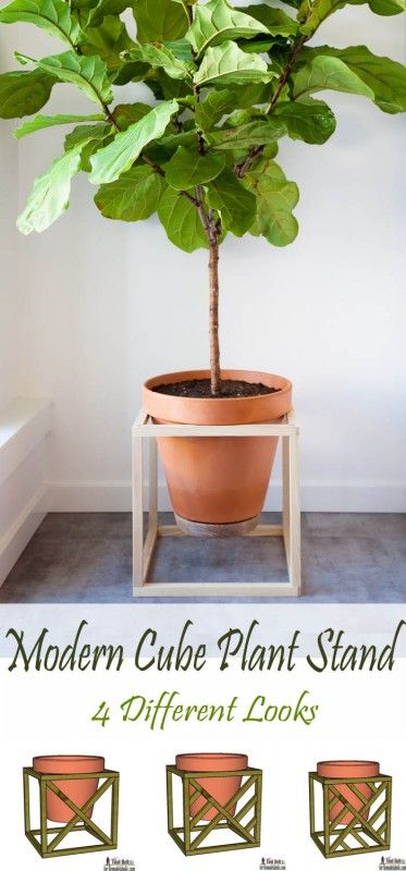 Get 4 different looks with 1 modern plant stand.  Modern cube plant stand plans ...