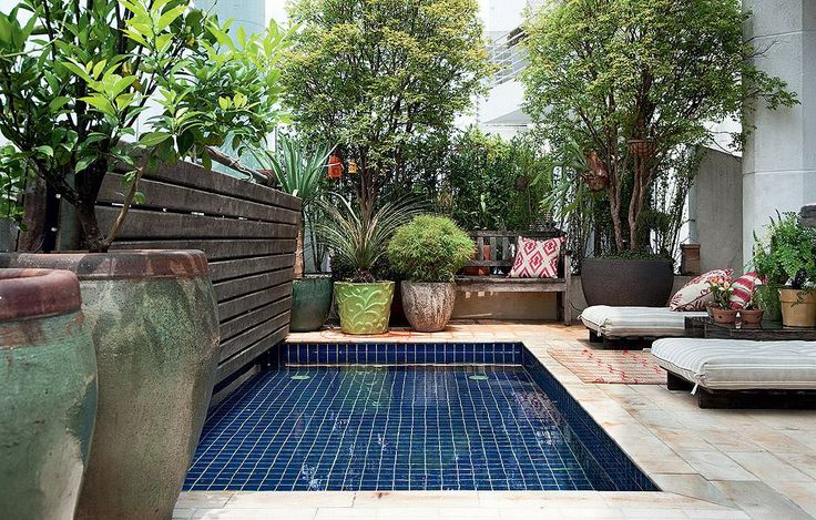 Urban Garden with small pool