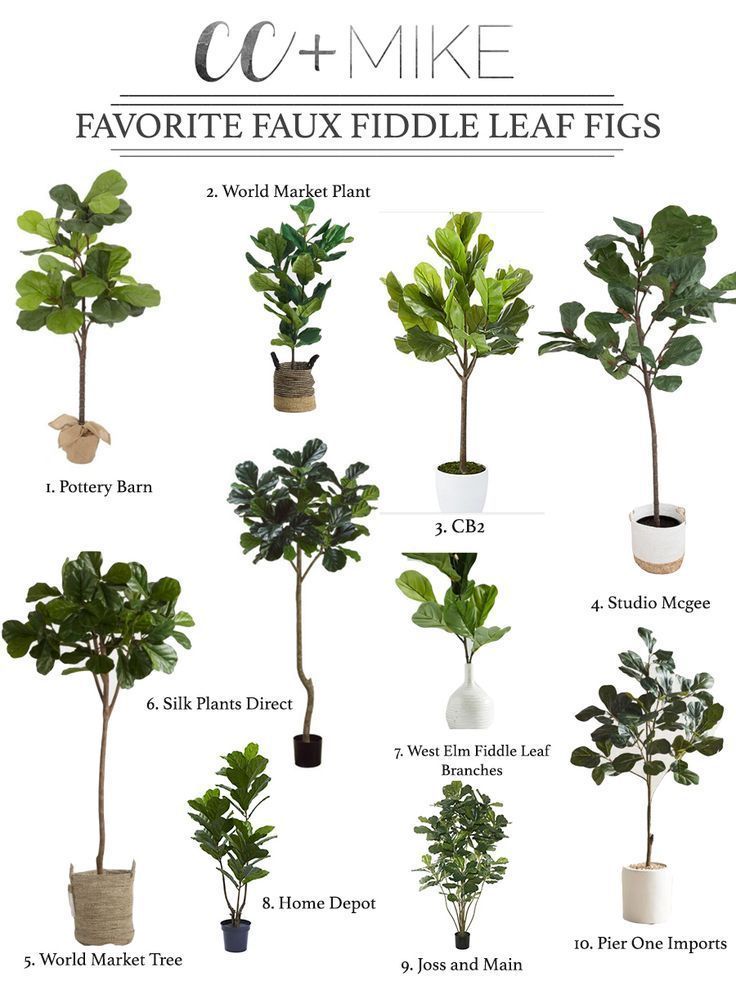 10 Beautiful Faux Fiddle Leaf Fig Trees for Home Decor