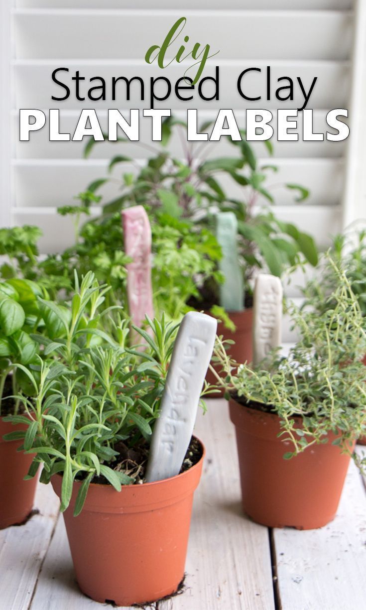 DIY Herb Garden Markers with Air Dry Easy-Sculpt Clay