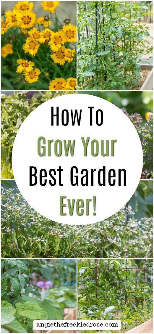 How To Grow Your Best Garden Ever