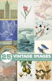 25+ Free Printable Vintage Images