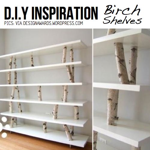 DIY Birch Shelves