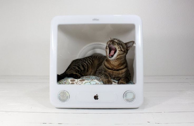 Turning An Old iMac Into A Cat Bed | Inspire Wild Ideas