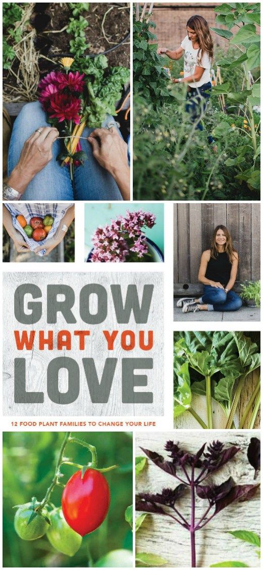 A Book Review: Grow What You Love | Angie The Freckled Rose
