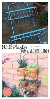 How to Use a Shower Caddy as a Vertical Planter