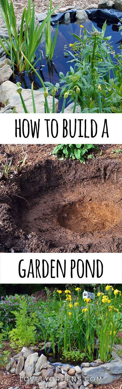 How to build a Small Pond for the Garden • Lovely Greens