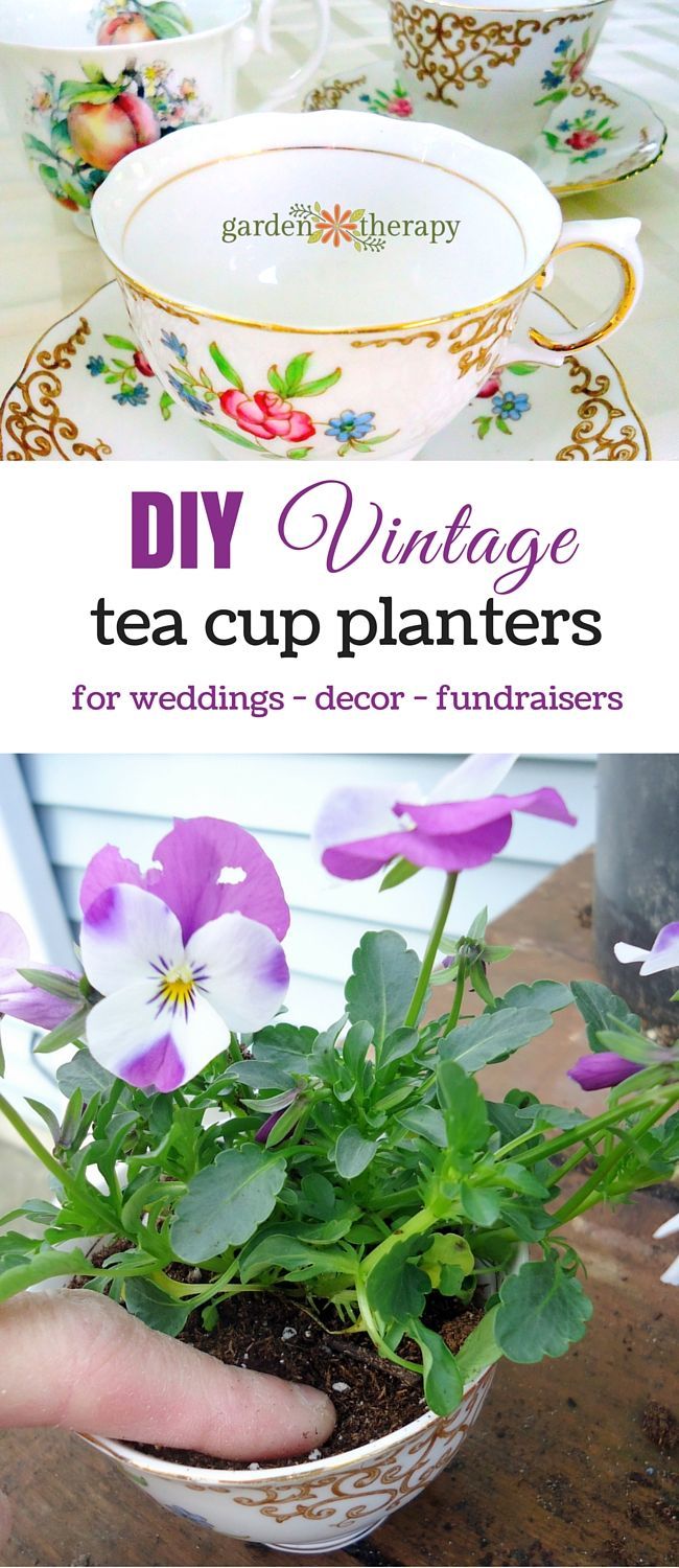 Vintage Teacup Planters: a Great Fundraising Tool - Garden Therapy